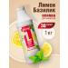 Barinoff Natural concentrate for drinks Basilin Lemon 1 kg