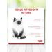 ROYAL CANIN Dry food for kittens of all rocks 2 kg - Buy Online on GoSupps.com