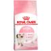 ROYAL CANIN Dry Kitten 36 food for kittens 2 kg 2 pcs - Buy Online on GoSupps.com