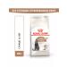 ROYAL CANIN Dry food for sterilized cats 12+ years 0.4 kg - Buy Online on GoSupps.com