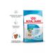 ROYAL CANIN Dry Mini Starter food small puppies mini starter 3 kg 2 pcs - Buy Online on GoSupps.com