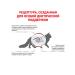 ROYAL CANIN GastroinTestinal food for cats gastrointestinal 2 kg 2 pcs - Buy Online on GoSupps.com
