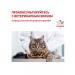 ROYAL CANIN GastroinTestinal food for cats gastrointestinal 2 kg 2 pcs - Buy Online on GoSupps.com