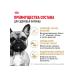 ROYAL CANIN Dry French Bulldog Feed for dogs Bulldog 3 kg 2 pcs - Buy Online on GoSupps.com