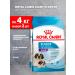 ROYAL CANIN Dry food Giant Starter for puppies of large rocks 4 kg 2 pcs