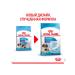 ROYAL CANIN Dry food Giant Starter for puppies of large rocks 4 kg 2 pcs - Buy Online on GoSupps.com