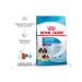 ROYAL CANIN Dry food Giant Starter for puppies of large rocks 4 kg 2 pcs - Buy Online on GoSupps.com