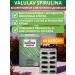 Sashera-Med Valulav Spirulina Bioregulator of cell division 60 capsules