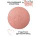 Bourjois Facial blush baked Blus tone 095 - Buy Online on GoSupps.com