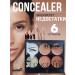 SABBI Face conciller in a palette 6 shades