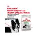 ROYAL CANIN Dry Medium Digestive Care for dogs 3 kg 2 pcs - Buy Online on GoSupps.com