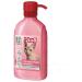 Ms Kiss Container shampoo for unceremonious cats 200 ml