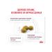 ROYAL CANIN Dry feed Renal RF23 for cats Renal 4 kg 2 pcs - Buy Online on GoSupps.com