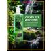 AVON Shampoo - shower gel male tropical jungle 720 ml - Buy Online on GoSupps.com