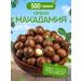Empire of Taste Macadamia nuts 3a in the shell 500g