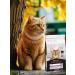 PRO PLAN Delicate Digest cat food feeling. digester. turkey 1.5 kg - Buy Online on GoSupps.com