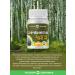 Spring of Health Symbiotic chaga probiotics - Buy Online on GoSupps.com
