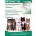 Lactobifadol Forte Probiotic for cats from constipation and diarrhea - Buy Online on GoSupps.com