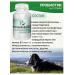 Lactobifadol Forte Probiotic for dogs lactobacilli for the prevention of gastrointestinal tract - Buy Online on GoSupps.com