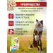 Omega Neo Vitamins for dogs glucosamine for joints and bones - Buy Online on GoSupps.com