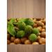 DESTEK Macadamia nut oil 20 ml - Buy Online on GoSupps.com