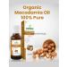DESTEK Macadamia nut oil 20 ml - Buy Online on GoSupps.com