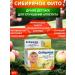 SOUTH Siberian Fito good appetite children's dragee 80 g