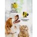iv san bernard Mint shampoo for dogs and cats with vitamin B6 500 ml - Buy Online on GoSupps.com