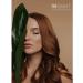 INsight Shampoo for damaged hair 900 ml - Buy Online on GoSupps.com
