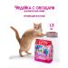 KissMeow Dry food for cats juicy turkey with vegetables rice 1.3 kg
