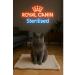 ROYAL CANIN Royal Kanin for sterilized cats 400 g - Buy Online on GoSupps.com