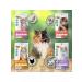 Mnyams Cream-stall for cats Assorted 4 units. x 4 pcs - Buy Online on GoSupps.com