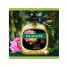 PALMOLIVE Liquid soap 300ml 3pcs - Buy Online on GoSupps.com