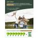 Chlorophyll Preaw Brand Chlorophyll in powder liquid for weight loss 12 pcs - Buy Online on GoSupps.com