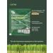 Chlorophyll Preaw Brand Chlorophyll in powder liquid for weight loss 12 pcs - Buy Online on GoSupps.com