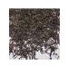 TEA CAT Black tea Assam Behor India TGFOP1 100G - Buy Online on GoSupps.com