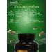 Siberian traditions For the stomach and intestines concentrate vitamins and prebiotic - Buy Online on GoSupps.com