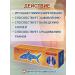 SPECIAL OINTMENT Ointment from pain in the joints and spine of sharks cartilage 2 pcs - Buy Online on GoSupps.com