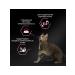 PRO PLAN Dry food for cats sensitive digestion of turkey 3 kg - Buy Online on GoSupps.com