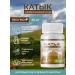 Spring of Health Katyk probiotics for the intestines