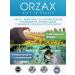 ORZAX C palmetto for men. Saw Palmetto T rkiye - Buy Online on GoSupps.com