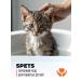 Spets Kittens and puppies hypoallergenic shampoo 500 ml - Buy Online on GoSupps.com