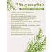 Biogra Horsetail of field grass for kidneys - Buy Online on GoSupps.com