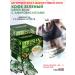 Truslen Green coffee Plus Green Coffee Bean for weight loss 2 packaging