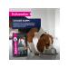 Eukanuba Spider for dogs with lamb in sauce - 100 g x 24 pcs - Buy Online on GoSupps.com