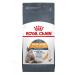 ROYAL CANIN Hair and Skin Care for cats 2 kg Heir & Skin - Buy Online on GoSupps.com
