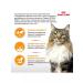 ROYAL CANIN Hair and Skin Care for cats 2 kg Heir & Skin - Buy Online on GoSupps.com