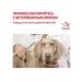 ROYAL CANIN Urinary SO for dogs at an ICB of 2 kg Urinaries with - Buy Online on GoSupps.com