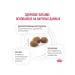 ROYAL CANIN GastroinTestinal for dogs 2kg gastrointestinal - Buy Online on GoSupps.com