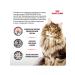ROYAL CANIN Gastrointestinal for cats 2 kg gastroins - Buy Online on GoSupps.com
